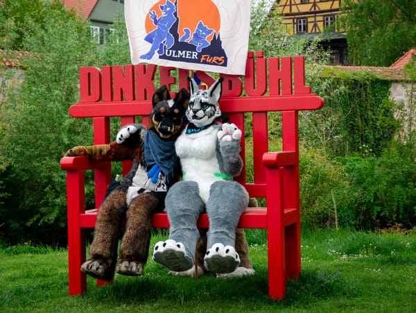 Bilder 1. Suitwalk Dinkelsbühl